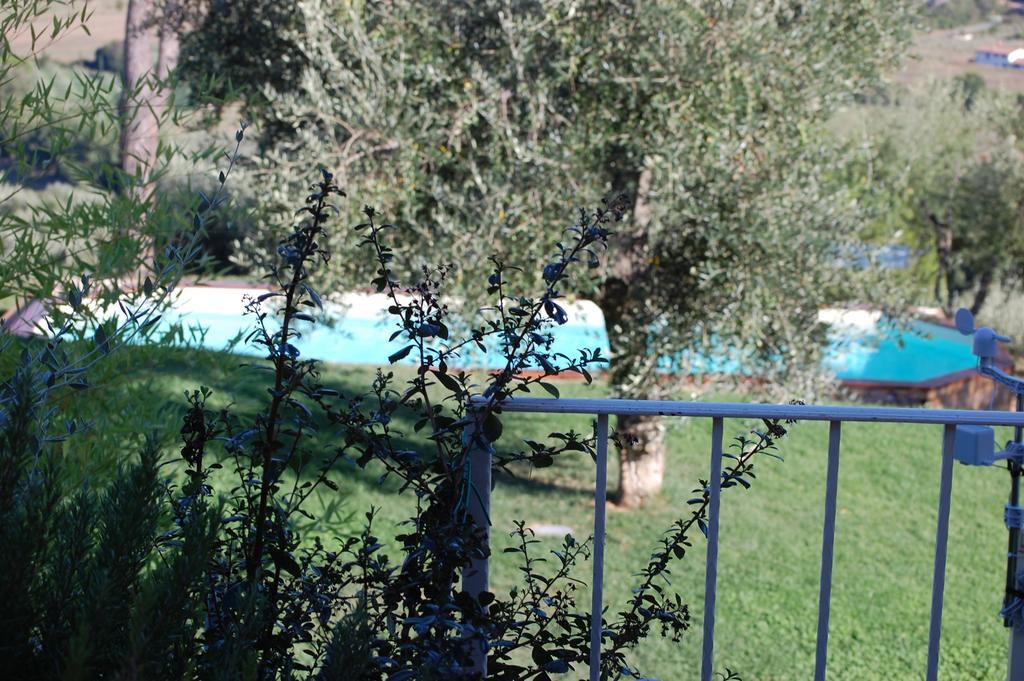 Il Pino Bed and Breakfast Vetulonia Eksteriør billede