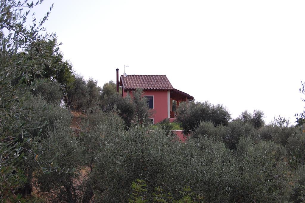 Il Pino Bed and Breakfast Vetulonia Eksteriør billede