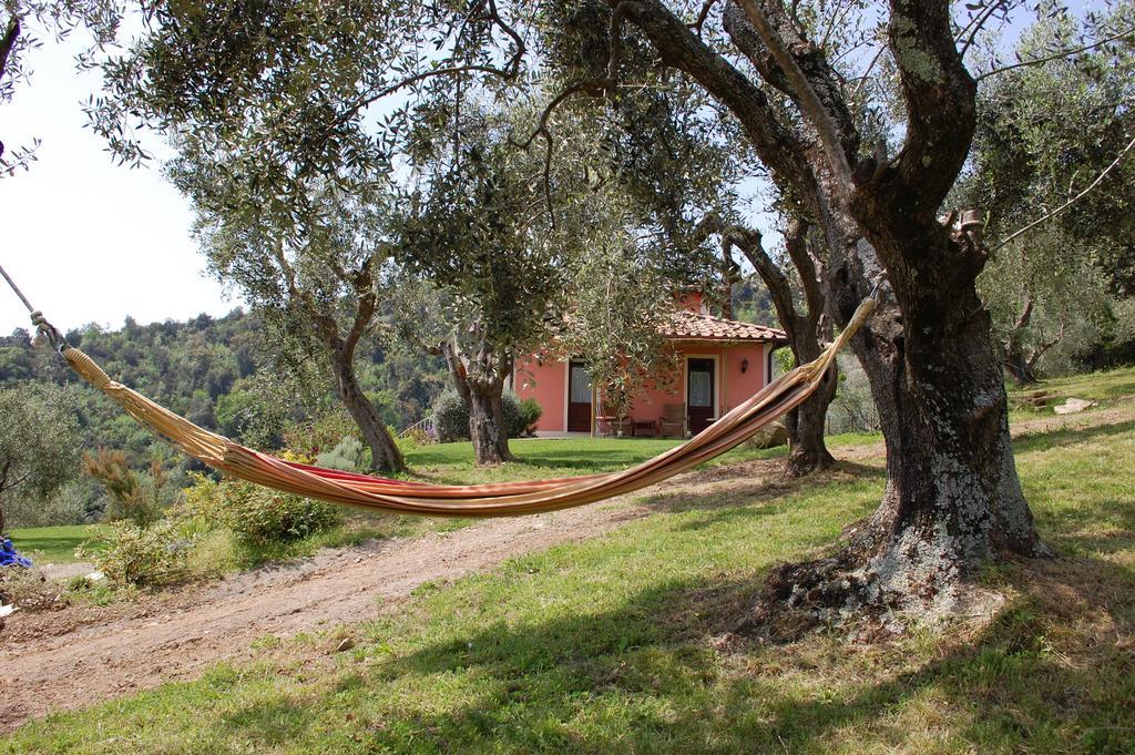 Il Pino Bed and Breakfast Vetulonia Eksteriør billede
