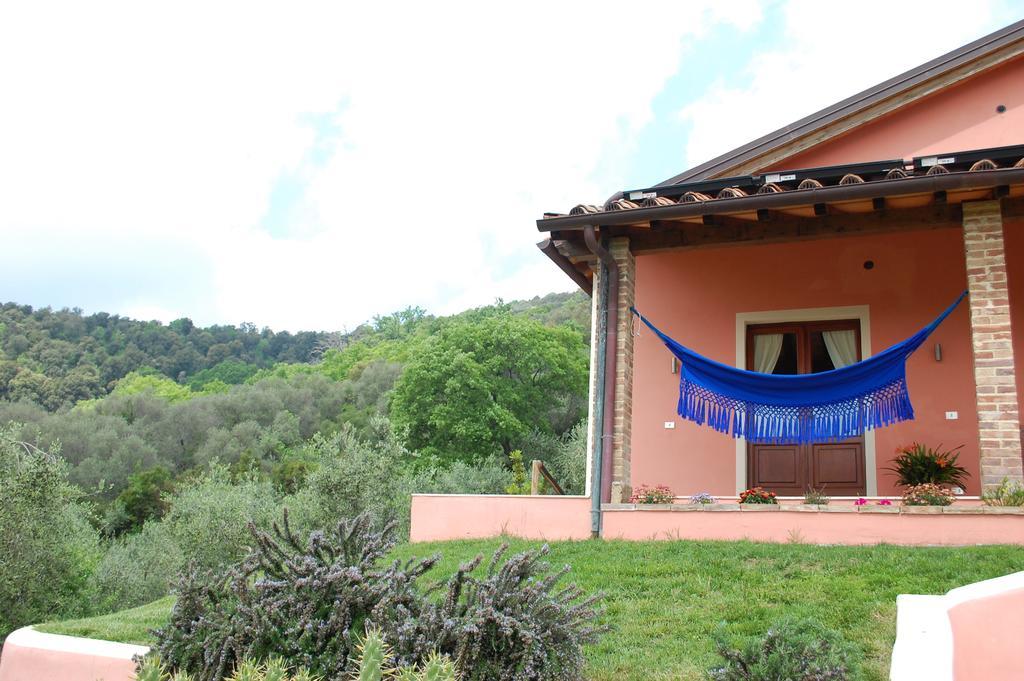 Il Pino Bed and Breakfast Vetulonia Eksteriør billede