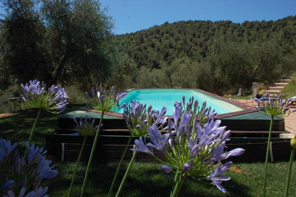 Il Pino Bed and Breakfast Vetulonia Eksteriør billede