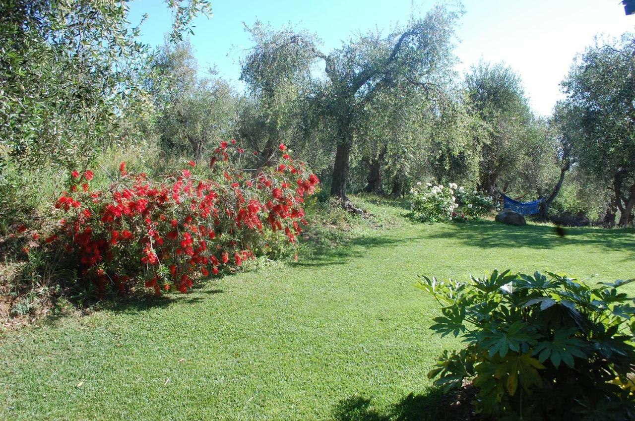 Il Pino Bed and Breakfast Vetulonia Eksteriør billede